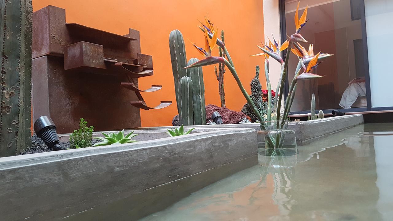 Coyoacan - Inn Mexico by Eksteriør bilde